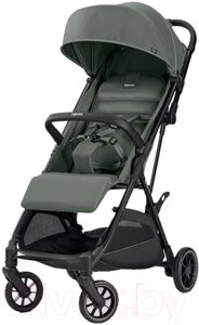 Детская прогулочная коляска Inglesina Now / AG84P0SPGRU