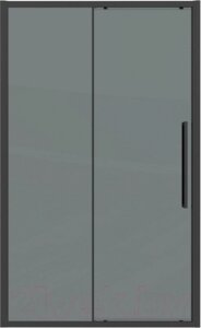 Душевая дверь Grossman Cosmo 110x195 / 100. K33.02.110.21.10