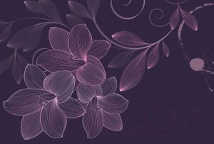 Фотообои листовые Vimala Векторные цветы 16