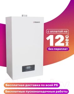 Газовый котел Hubert Smart AGB 10 DY