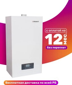 Газовый котел Hubert Smart AGB 10 DY