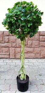 Искусственное растение ForGarden Дерево Chinese Ficus / FGN BF01703
