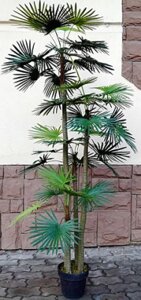 Искусственное растение ForGarden Дерево Palm Washington Tree / FGN BF00595