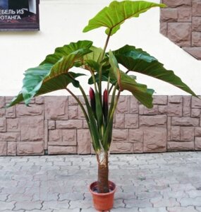 Искусственное растение ForGarden Таро / BF00246