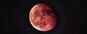 Картина на стекле Stamprint Кровавая луна SC003