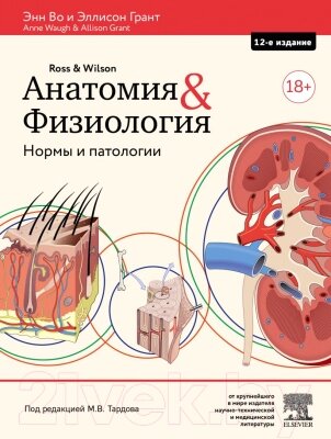 Книга Эксмо Анатомия и физиология. Нормы и патологии