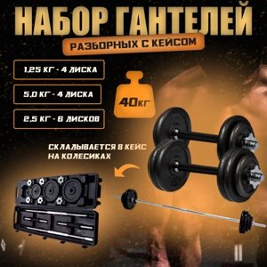 Набор гантелей разборных Sundays Fitness IR92075A