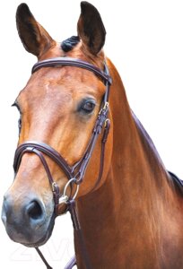 Оголовье для лошади Salisbury Bodenham COB / 293/AUSNUT/COB