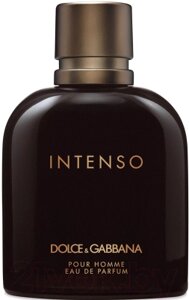 Парфюмерная вода Dolce&Gabbana Intenso Pour Homme