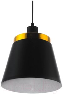 Потолочный светильник Aitin-Pro 13998D B