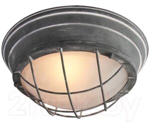 Потолочный светильник Lussole Loft LSP-9881