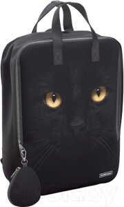 Рюкзак Erich Krause StreetLine 16L Black Cat / 57139