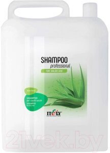 Шампунь для волос Itely Shampoo Professional Aloe Vera+Помпа