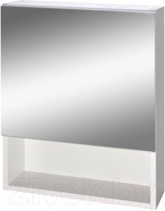 Шкаф с зеркалом для ванной Гамма 12