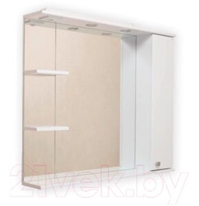 Шкаф с зеркалом для ванной Onika Эльбрус 100.02 R