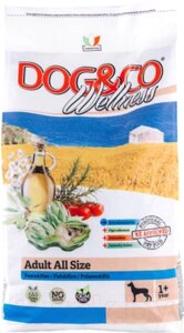 Сухой корм для собак Adragna Dog&Co Wellness Adult Fish&Rice