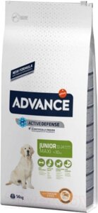 Сухой корм для собак Advance Maxi Junior с курицей и рисом