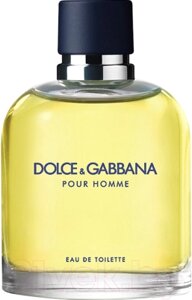 Туалетная вода Dolce&Gabbana Pour Homme