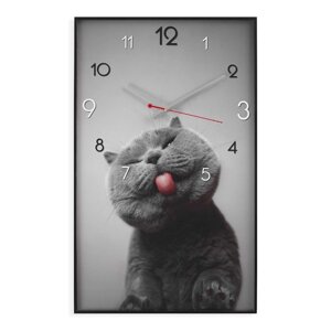 Часы-картина настенные, серия: Интерьер, "Котик", плавный ход, 57 х 35 см, 1 АА