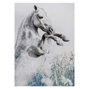 Картина-холст на подрамнике "Конь" 50х70 см