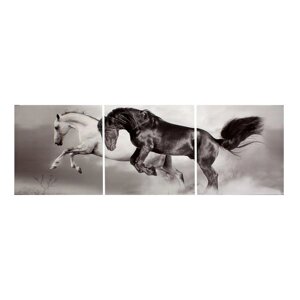 Картина модульная на подрамнике "Скакуны. Черный, белый. 3шт-50х50 см; 50*150 см