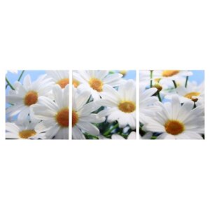 Модульная картина "Белые ромашки"3-35х35) 35х105 см