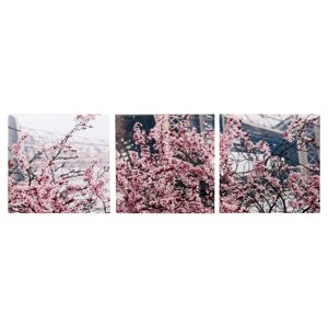 Модульная картина "Весенний Париж"3-35х35) 35х105 см