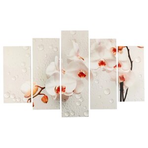 Модульная картина "Ветка орхидеи"2-25х50, 2-25х67, 25х80 см) 80х140 см