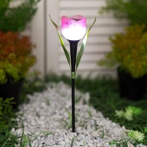 Садовый светильник Uniel на солнечной батарее «Розовый тюльпан», 5 30.5 5 см, свечение белое