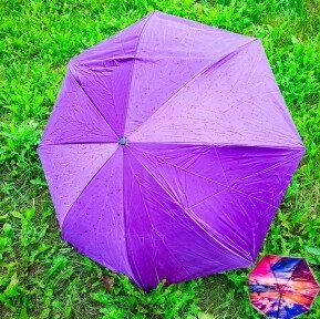 NEW Зонт наоборот двухсторонний UpBrella (антизонт) / Умный зонт обратного сложения Синяя роза