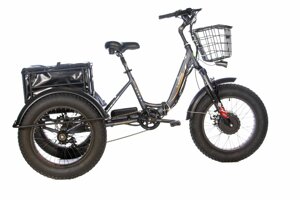Электричесикй велосипед трицикл E-motions Panda 750W