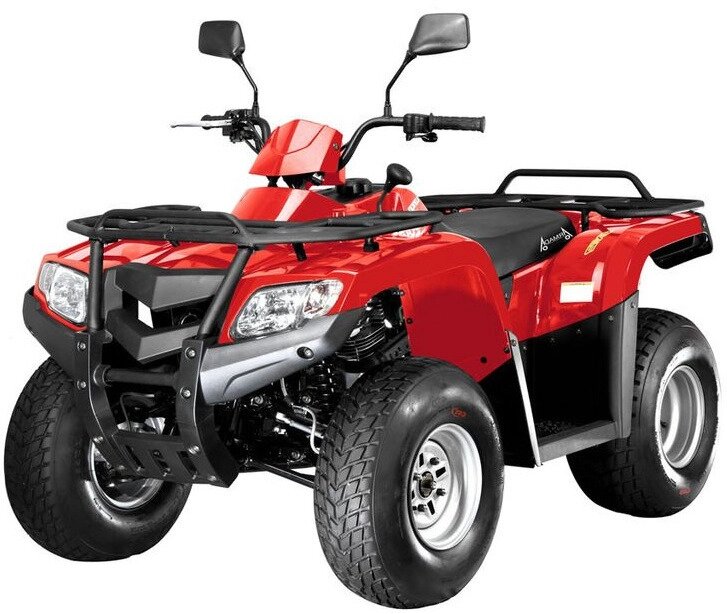 КВАДРОЦИКЛ LONCIN BAGGIO LX200 от компании ООО "Энерджи Ритейл" - фото 1