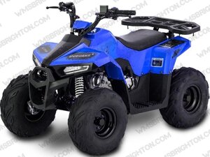 Квадроцикл irbis atv Mudhawk 110cc