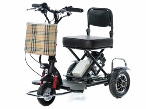 Электроскутер citycoco OxyVolt HandyTrike Li-ion (48V 12Ah)