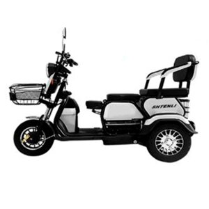 Электрический трицикл SHTENLI Model 31 SLA 20Ah48V, АКБ 20Ah 48V, скорость 35км/ч, колеса 3.00-8Tubeless"