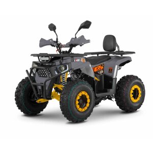 Квадроцикл M1nsk Lis 125, мощность 7.6 л. с. при 7500 об/мин, скорость 45км/ч, вес 113кг, колеса 18х9.5-8"/19х7-8"