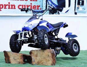 Квадроцикл на аккумуляторе MMG Cobra 800W