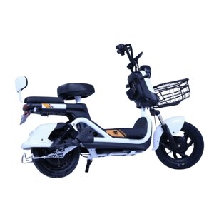 Электроскутер Shtenli Model 21 Performance Pro (аккумулятор 5шт 20Ач12В), мощность БесщеточныйW, АКБ V комплекте,