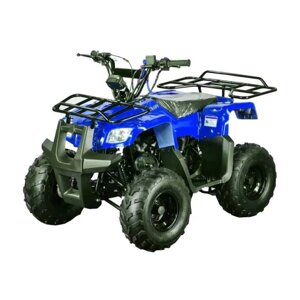 Квадроцикл Motoland ATV Rider 110cc (мотокомплект)