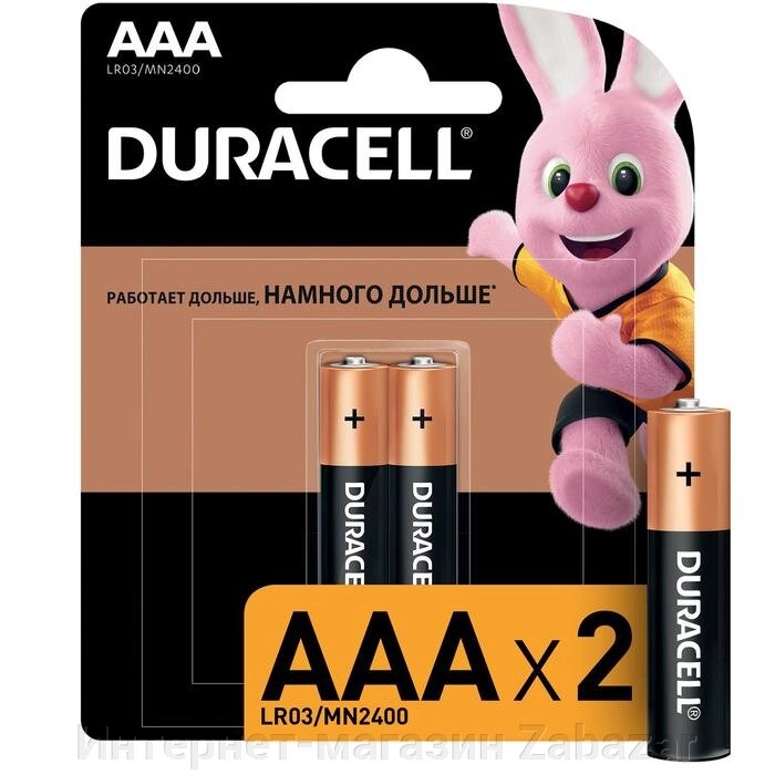 Батарейка алкалиновая Duracell Basic, AAA, LR03-2BL, 1.5В, блистер, 2 шт. от компании Интернет-магазин Zabazar - фото 1