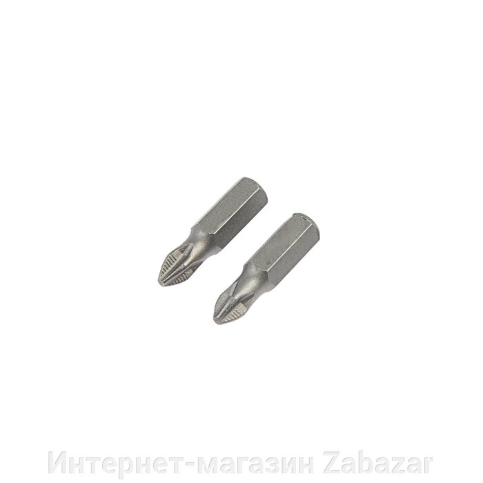 Биты ТУНДРА, намагниченные, сталь CrV, PH2 х 25 мм, 2 шт. от компании Интернет-магазин Zabazar - фото 1