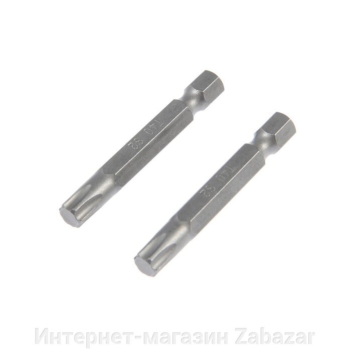 Биты ТУНДРА, намагниченные, сталь S2, T40 х 50 мм, 2 шт. от компании Интернет-магазин Zabazar - фото 1