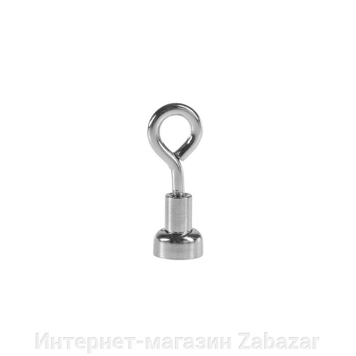 Магнит неодимовый TORSO с петлёй для авто, d 10 мм, сцепление 1.5 кг от компании Интернет-магазин Zabazar - фото 1