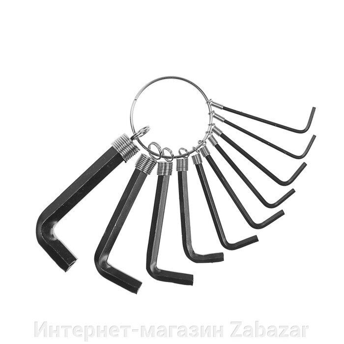 Набор ключей шестигранных на кольце ТУНДРА, 1.5 - 10 мм, 10 шт. от компании Интернет-магазин Zabazar - фото 1