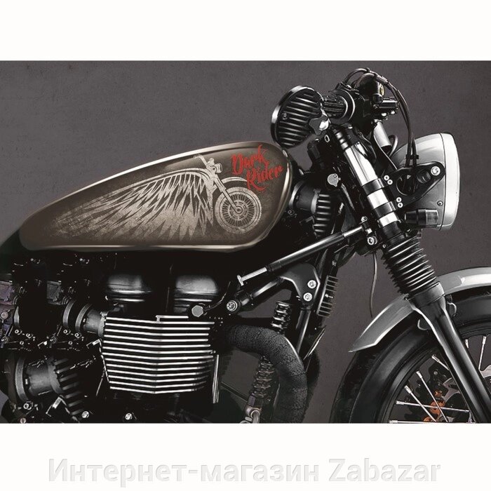 Набор наклеек на мотоцикл Dark Rider, 2 шт от компании Интернет-магазин Zabazar - фото 1