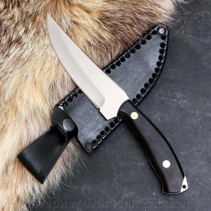 Нож кавказский "Коса" с ножнами, сталь - х12, рукоять - бук от компании Интернет-магазин Zabazar - фото 1