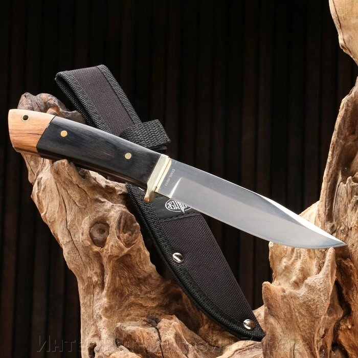 Нож охотничий "Иркутск" сталь - 40х13, рукоять - дерево, 24 см от компании Интернет-магазин Zabazar - фото 1