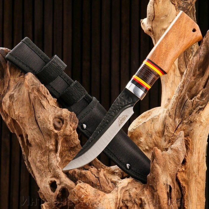 Нож охотничий, Мастер К клинок 11,5 см от компании Интернет-магазин Zabazar - фото 1