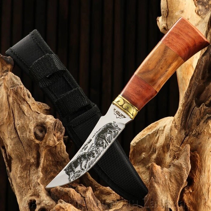 Нож охотничий "Схватка", в чехле, 23 см, лезвие с узором, рукоять деревянная от компании Интернет-магазин Zabazar - фото 1