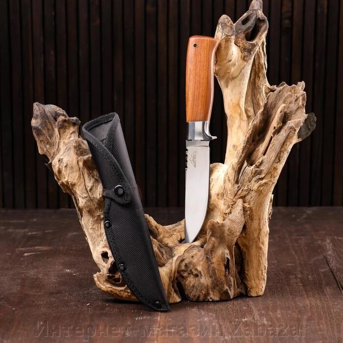 Нож охотничий "Вульф" 25 см, , зазубрины на лезвии от компании Интернет-магазин Zabazar - фото 1